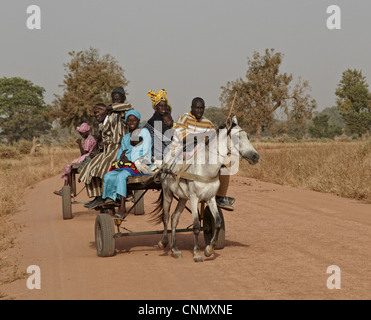 Senegalesischen Familie Reitpferd zog Warenkorb zum nahe gelegenen Markt, in der Nähe von Toubacouta, Senegal, Januar Stockfoto