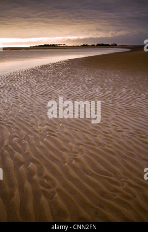 Blick auf sandigen Strand bei Sonnenuntergang, Holkham Bay, Norfolk, England, august Stockfoto