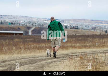 1 Jahr alt Faon farbig Mops zu Fuß mit seinem Besitzer in eine städtische Hundewiese. Stockfoto