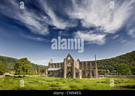 Ansicht der Zisterzienser-Abtei Ruinen, Tintern Abbey, Tintern, Wye Valley, Monmouthshire, Wales, august Stockfoto