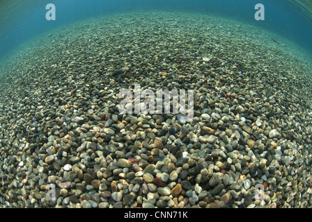 Bunte Kieselsteine Untiefen in Küstennähe Tutuntute Wetar Insel Barat Daya Inseln kleinen Sunda-Inseln Maluku Provinz anzeigen Stockfoto