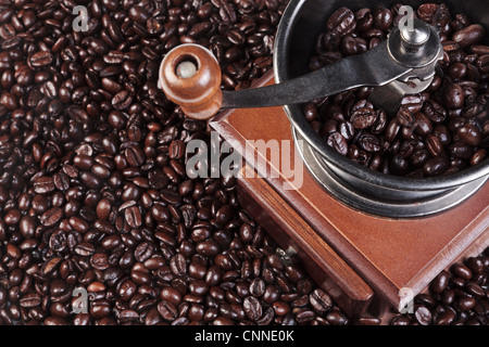 Foto von einer Kaffeemühle mit frisch gerösteten Arabica und Robusta Bohnen Stockfoto