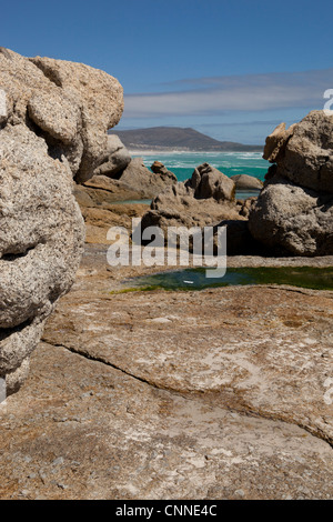 Noordhoek Strand, Noordhoek, Western Cape, Südafrika Stockfoto