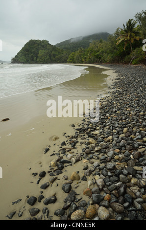 Emmagen Beach, Daintree Nationalpark, Queensland, Australien Stockfoto