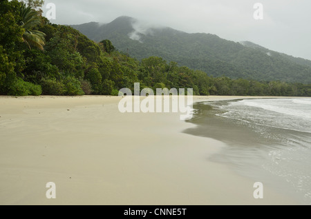 Emmagen Beach, Daintree Nationalpark, Queensland, Australien Stockfoto