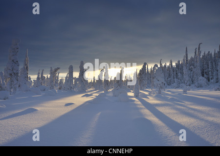Kuusamo, Nordösterbotten, Provinz Oulu, Finnland Stockfoto
