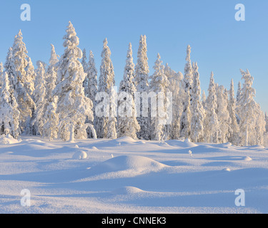 Kuusamo, Nordösterbotten, Provinz Oulu, Finnland Stockfoto