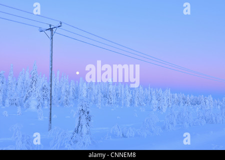 Kuusamo, Nordösterbotten, Provinz Oulu, Finnland Stockfoto