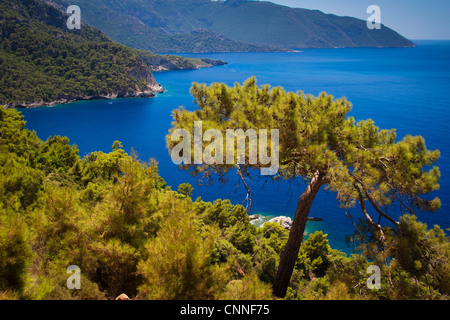 Wald- und Küstenlandschaft. Kabak Tal. Lykischen Weg. Provinz Mugla, Ägäis, Türkei. Stockfoto