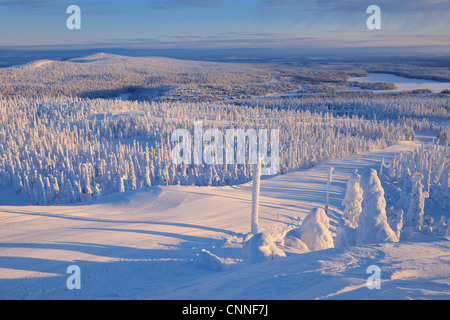 Verschneite Landschaft, Rukatunturi, Nordösterbotten, Kuusamo, Finnland Stockfoto