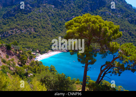 Wald- und Küstenlandschaft. Kabak Tal. Lykischen Weg. Provinz Mugla, Ägäis, Türkei. Stockfoto