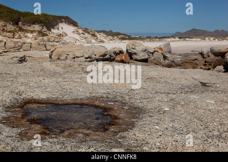 Noordhoek Beach, Noordhoek, Western Cape, Südafrika Stockfoto