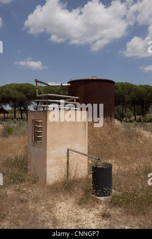 Ein destilliert, Eukalyptusöl, extrahiert Blätter wurden in den Kessel gelegt, erhitzt und verdampft Stockfoto