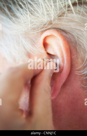 Ältere Person einfügen Hörgerät Stockfoto