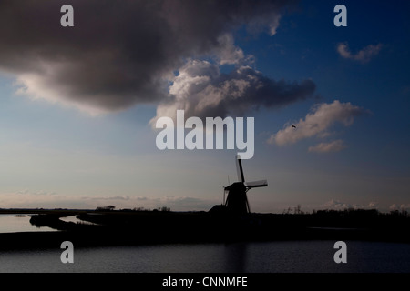 Typische holländische Landschaft mit Windmühle und Gewitterhimmel, Texel, Ostfriesischen Inseln im Wattenmeer, Holland, Niederlande, Europa Stockfoto