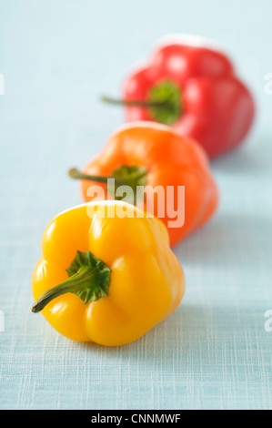 Nahaufnahme von Paprika Stockfoto