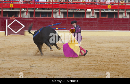 Stierkampf Matador Kap kämpfen Stier aufgespießt Banderillas Stierkampfarena Medina del Campo Valladolid Kastilien-León Nordspanien Stockfoto