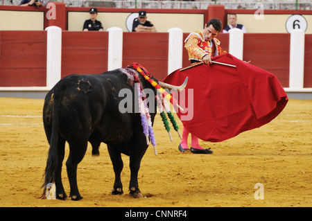 Stierkampf Matador Muleta Schwert Kampfstier aufgespießt Banderillas Stierkampfarena "Tercio de Muerte" Bühne Stierkampf Spanien september Stockfoto