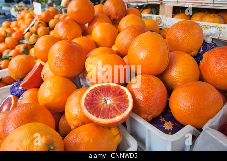 Blutorangen Sie, Bauernmarkt Stockfoto