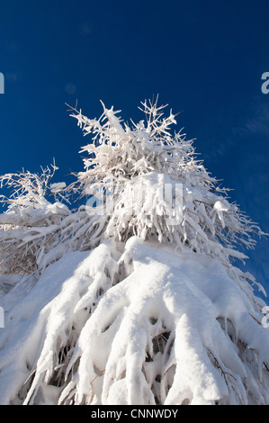 Alleghe, Provinz Belluno, Region Venetien, Dolomiten, Italien Stockfoto