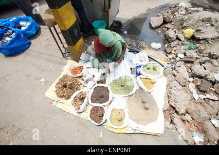 Eine Dame verkauft Gewürz auf der Straße in Neu-Delhi, Indien Stockfoto