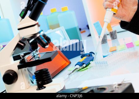 Wissenschaftler, die Fläschchen in ein multiwell Probenteller in einem Werk Labor zu füllen. Stockfoto