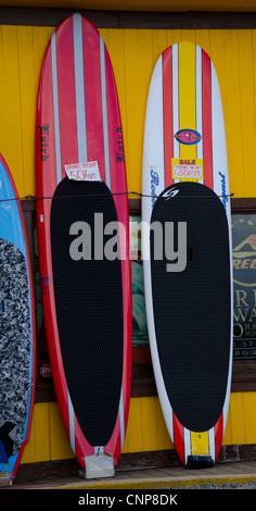 Surfbretter für Verkauf in einem Geschäft inf Haleiwa am North Shore von Oahu, Hawaii, in der Nähe der berühmten Surf-Stränden. Stockfoto