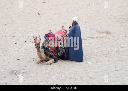 Ägyptische Kamelreiter warten, Fahrt an Touristen bei den Pyramiden in Gizeh, Kairo, Ägypten, im blauen Gewand und weißen Turban zu verkaufen Stockfoto