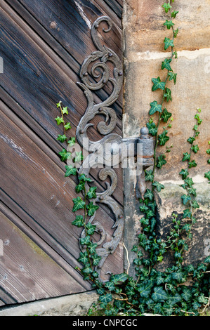 Rosengarten in der neuen Residenz (New Palace) in Bamberg, Deutschland. Stockfoto