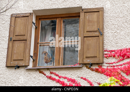 Fensterläden mit Efeu Burghausen Schloss Burghausen, Deutschland. Stockfoto