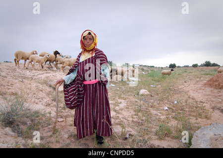 Rund um Sidi Bouzid sind viele kleine Dörfer und viel Ackerland und Wiesen, wo der Hirte Juma ihre Schafe nimmt. Stockfoto