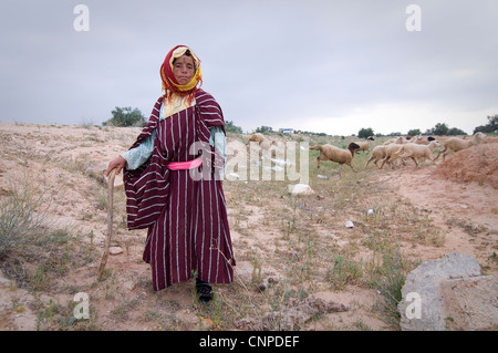 Rund um Sidi Bouzid sind viele kleine Dörfer und viel Ackerland und Wiesen, wo der Hirte Juma ihre Schafe nimmt. Stockfoto