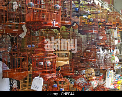 Hunderte von Singvögeln in exquisit gestalteten Käfigen, die auf der anderen Seite der Nathan Road auf der Yuen Po Street ist. Hong Kong, Stockfoto