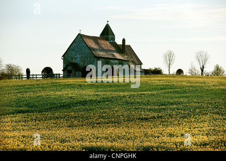 St. Huberts Idsworth am frühen Morgen mit Raps Feld im Vordergrund Stockfoto