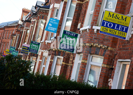 Häuserzeile mit Zeichen in einem Schüler-Wohngebiet von Belfast Nordirland Vereinigtes Königreich lassen Stockfoto