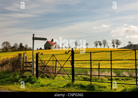 St. Huberts Idsworth am frühen Morgen mit Raps Feld Eisentor und Finger Beiträge im Vordergrund Stockfoto