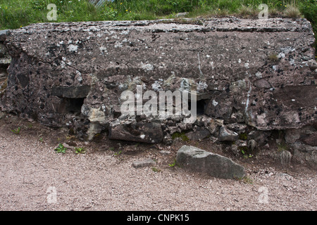 Ersten Weltkrieg Schlachtfeld im Elsass an Frankreich, Le Linge, Westfront Linien von 1914-18 Stockfoto