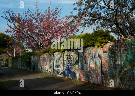 Frühling in Berlin-Neukölln. Wand mit Graffiti und einen Baum mit rosa Blüten Stockfoto