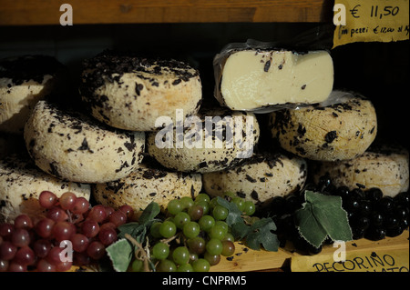 Blick in eine innere einer Molkerei mit Regalen voller Formen der Pecorino Stockfoto