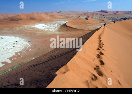 Blick über Dead Vlei von der Spitze des 80m hohen Düne 45 im Sossusvlei, Südliches Namibia, Afrika kurz nach Sonnenaufgang Stockfoto