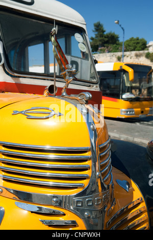 Traditionellen gelben Busse, Valletta, Malta, Europa Stockfoto