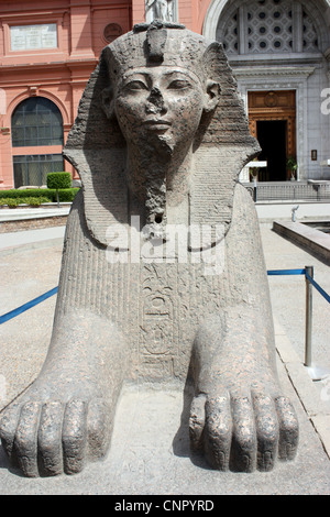 Sphinx-Statue vor Geschichtsmuseum Kairo Ägypten Stockfoto