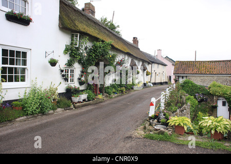 Strohgedeckten Hütten in Branscombe, Devon, UK. Stockfoto