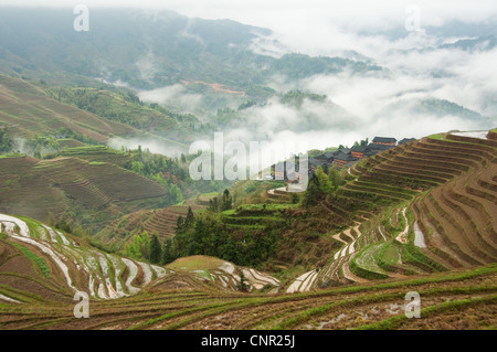 Da Zhai Dorf unter Wolken und Reisterrassen Stockfoto