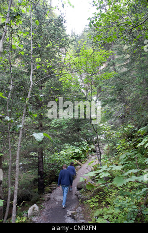 Wandern im Klondike Gold Rush National Park, in der Nähe von Dyea, Alaska, USA Stockfoto