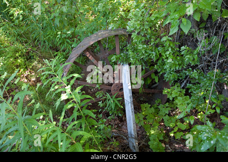 Rostigen Rad in der alten verlassenen Stadt-Website des Susitna Station, Alaska, USA Stockfoto