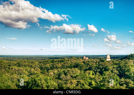 Anzeigen von Tikal Tempel I, II, III, V und Tropenwald des Tikal National Park vom Tempel IV. Stockfoto