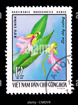 Briefmarke aus Vietnam, die Darstellung einer exotischen Orchidee (Habenaria Rhodocheila) Stockfoto