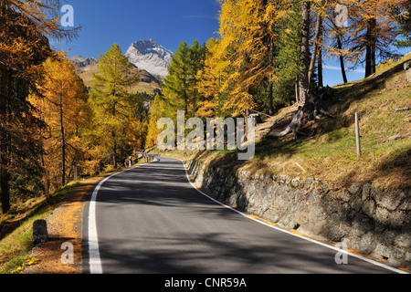 Straße, Albulapass, Kanton Graubünden, Schweiz Stockfoto