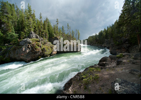 Fluss mit Wellengang, Yellowstone-Nationalpark, Wyoming, USA Stockfoto